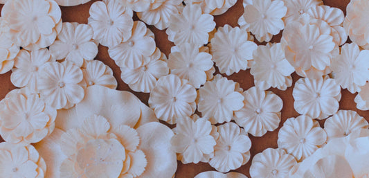 BEYOND OUR HORIZONS - EXHIBITION