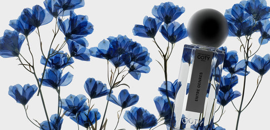 IN THE MOOD FOR BLOOM